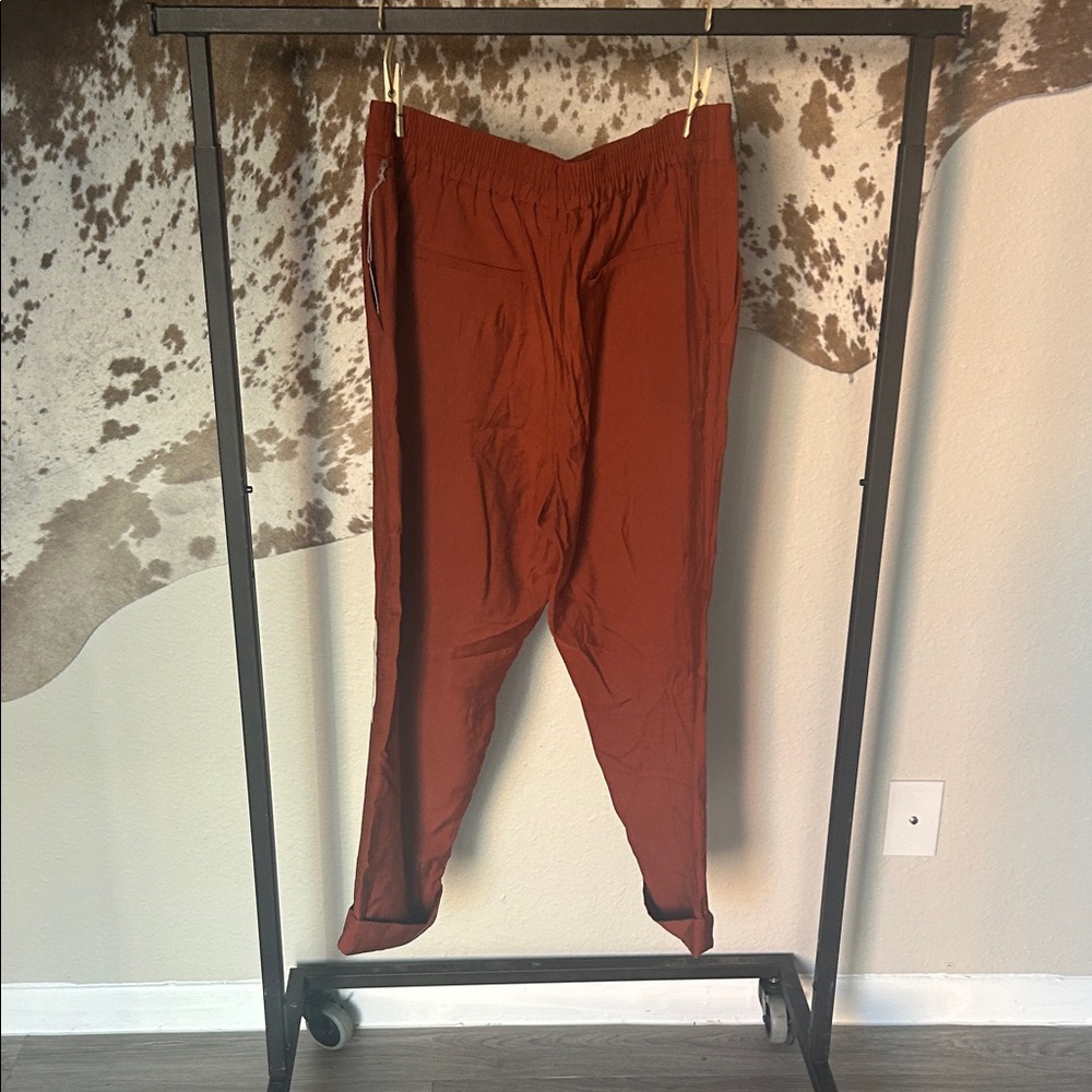Target Slim Ankle Linen Pants - Rust Color - Picture 5 of 5